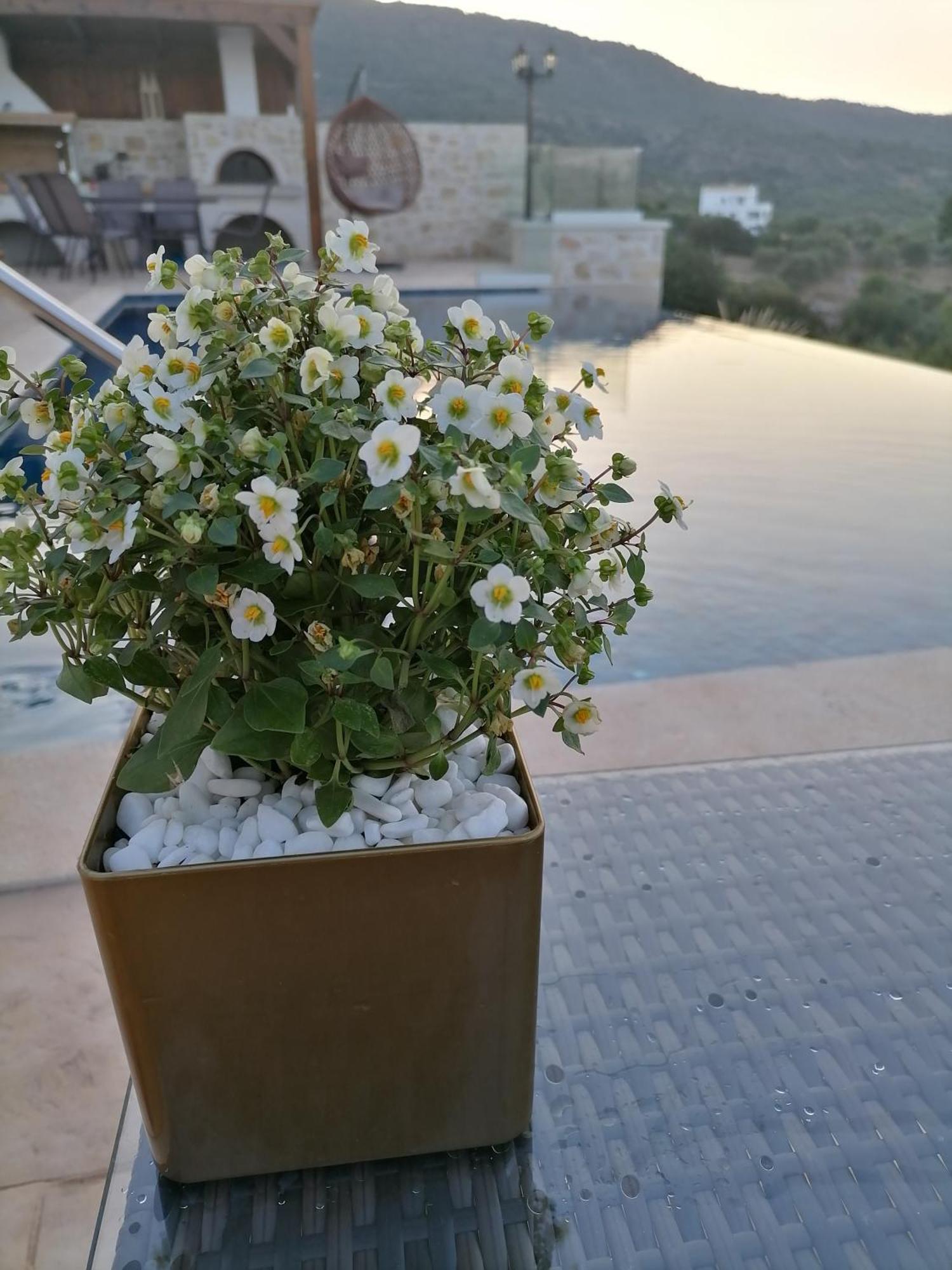 חאניה Villa Halepouri מראה חיצוני תמונה